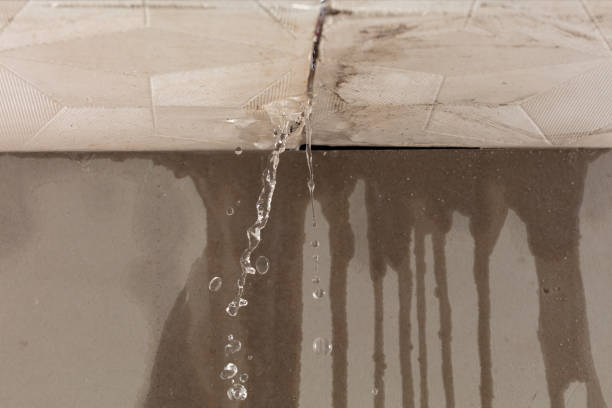 Professional Structural Drying technician working in Gilford, NH